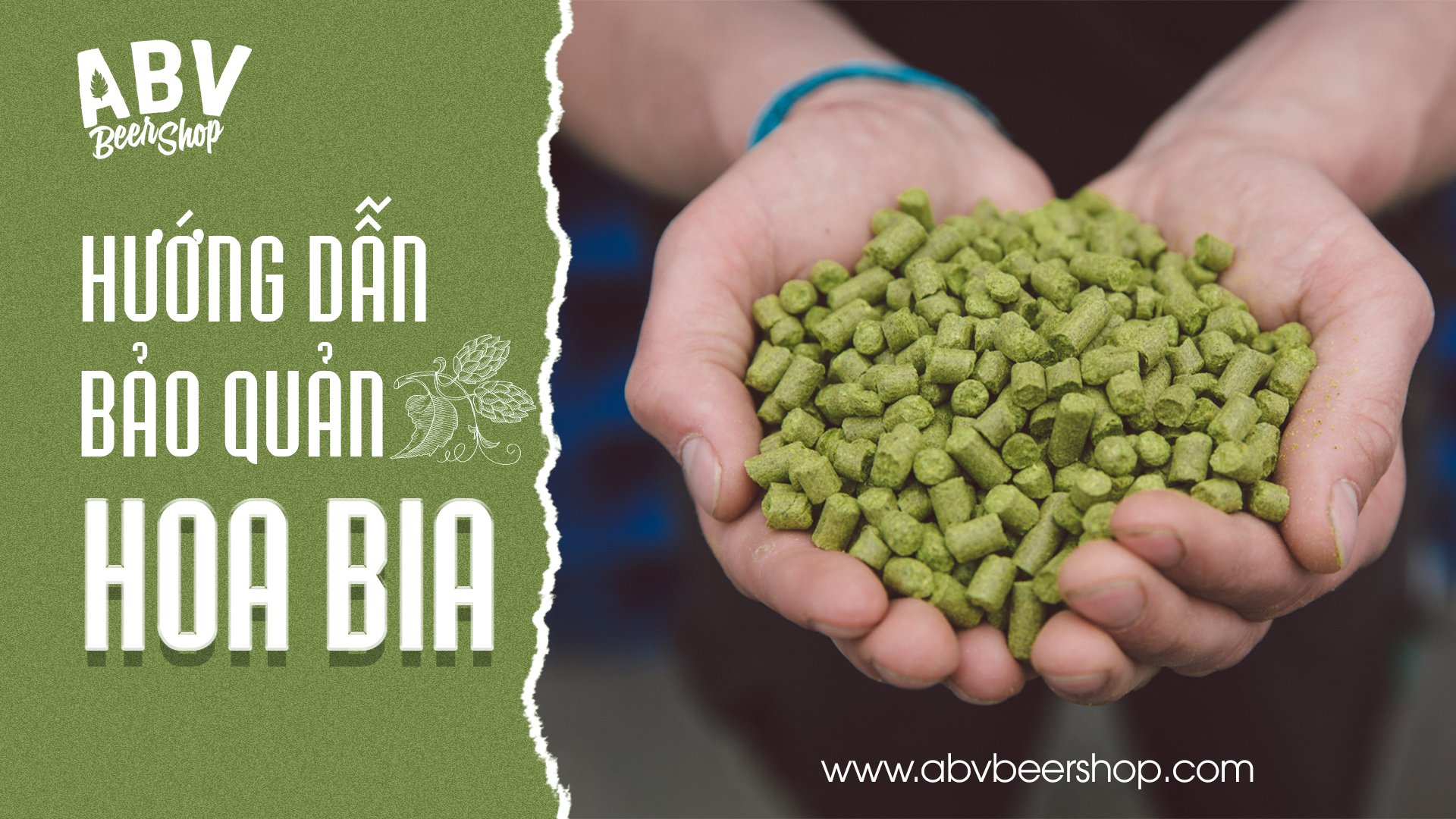 Bảo quản hoa bia như thế nào để không ảnh hưởng đến chất lượng bia ?