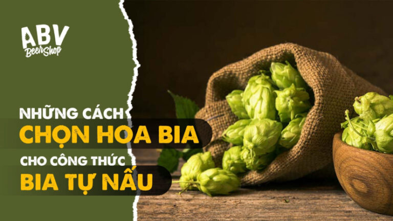 Những cách chọn hoa bia cho công thức bia tự nấu