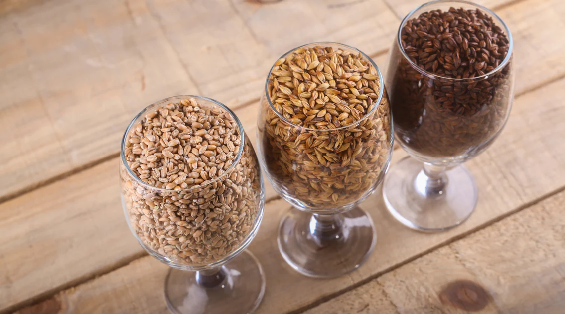 Malt Biere 1200x630 1