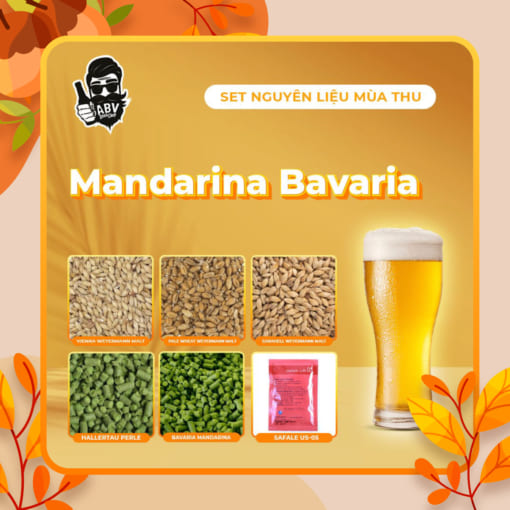 Beer Recipe Kit – Mandarina Bavaria