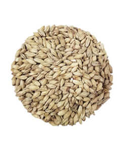 Base Malts