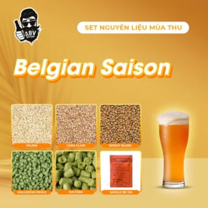 Beer Recipe Kit– Belgian Saison