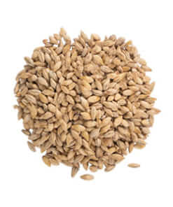 Specialty Malts