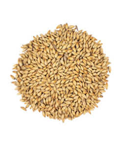 Caramel Malts