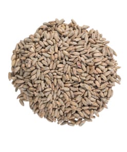 Rye Malts