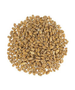 Wheat Malts